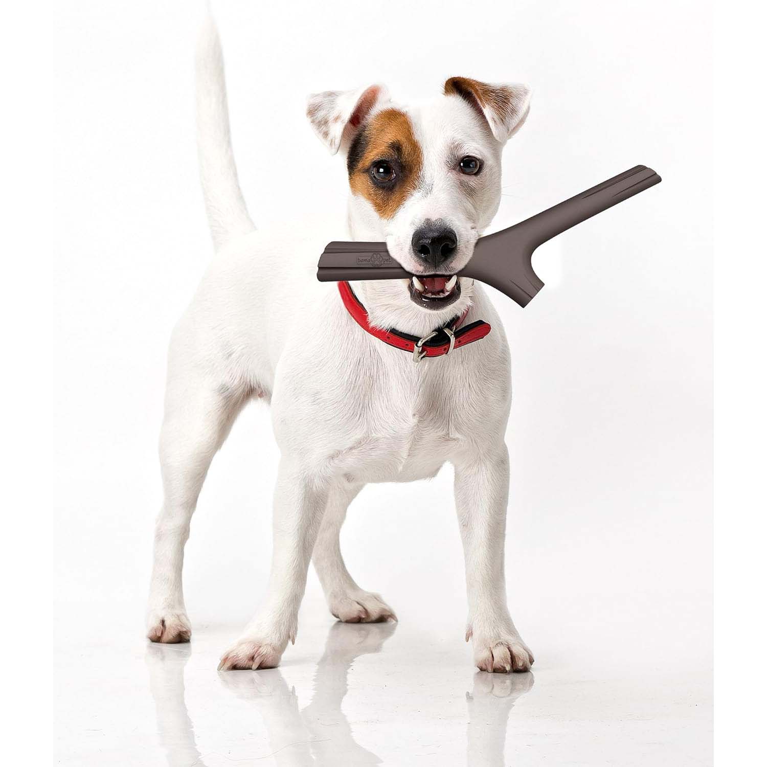 Bama Tutto Mio Gioco per Cani 11x4x37 cm Colori Assortiti foto 3