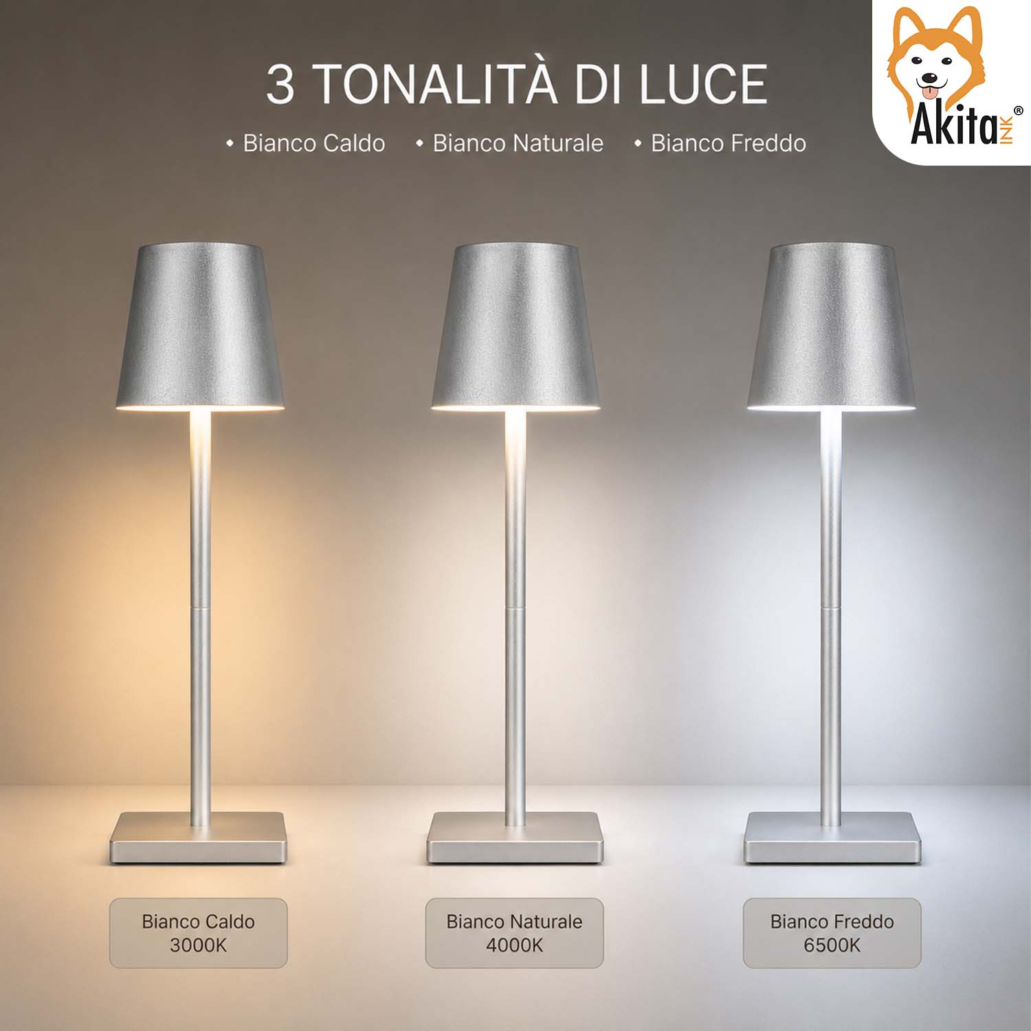 Akitaink Lampada da Tavolo LED Argento Ricaricabile foto 3