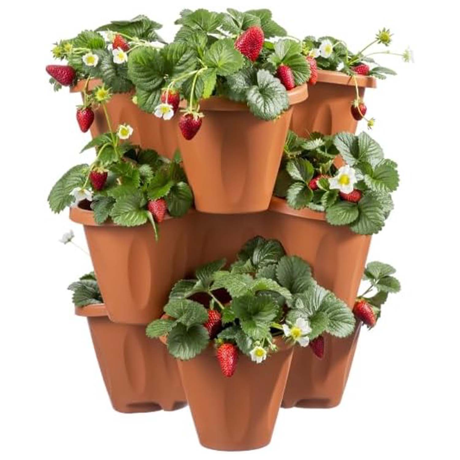 Bama Vaso Trifoglio Grigio con Sottovaso e Ruote Set 3 Pz foto 4