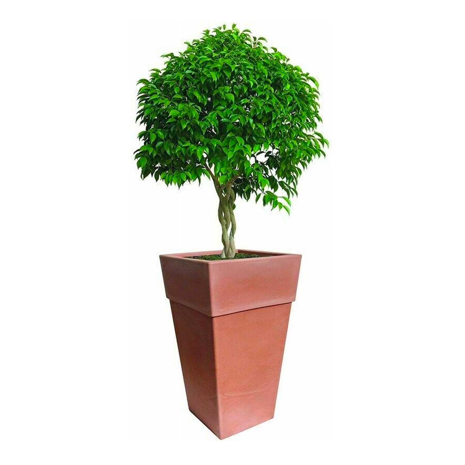 Bama Vaso Piraminde Sensation 40cm Brown foto 2