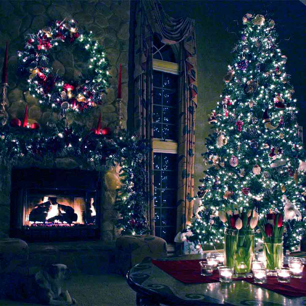 Luci di natale esterno e interno fredde 180 led per albero siepi balconi foto 5