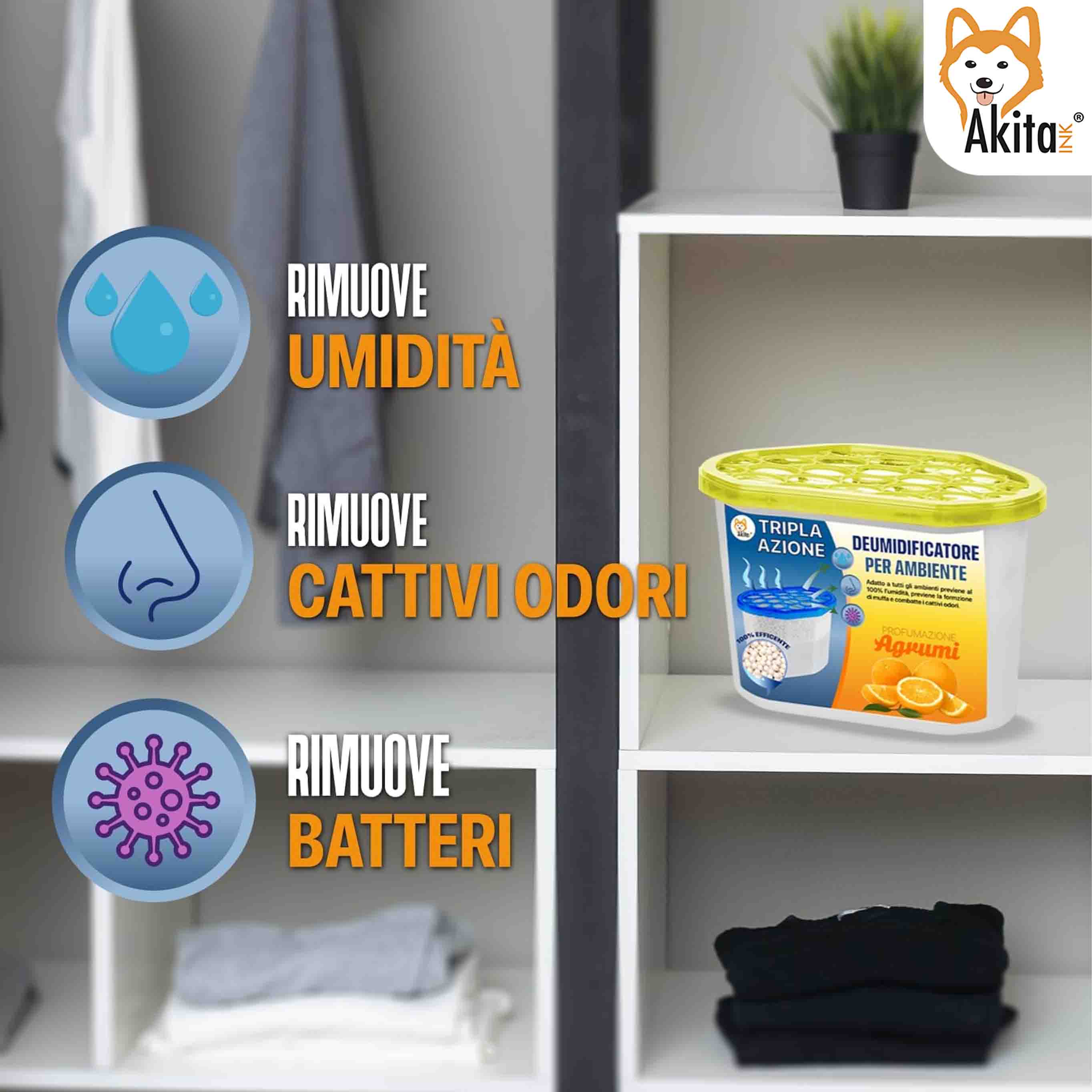 Set 6 Assorbiumidita' Deumidificatori Agrumi 500 ml foto 4